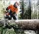 Pakeista Prekybos valstybiniuose miškuose pagaminta žaliavine mediena ir miško kirtimo liekanomis tvarka 
