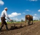 Žemės ūkio darbai – vieni pavojingiausių
