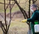 Sodo augalų purškimas: ką turite žinoti?