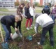 Užimtumo įstatymo pakeitimai: kokie asmenys bus papildomai remiami darbo rinkoje, kokių subsidijų gali  tikėtis darbdaviai, įdarbinę jiems siųstus asmenis?