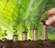 Finansavimo priemonės verslo plėtrai. Video patarimai. 