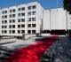 Pritarta ligos ir motinystės išmokų korekcijoms