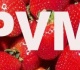 Pričiupo sukčiaujant PVM