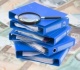 Valstybės kontrolierė pristatė Seimui Išvadas